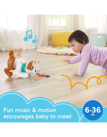 Fisher-Price Crawl with me Puppy